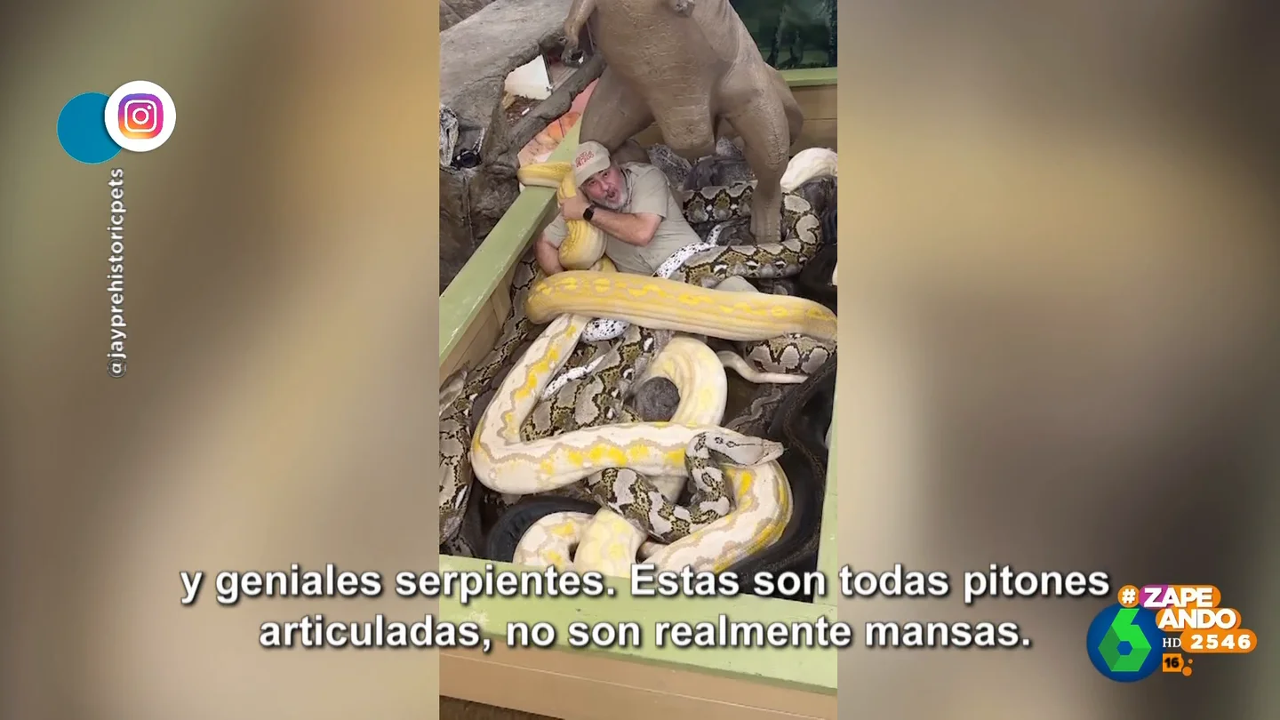 Así promociona un hombre su negocio de venta de anfibios y reptiles: rodeado por serpientes de más de 10 metros Así promociona un hombre su negocio de venta de anfibios y reptiles: rodeado por serpientes de más de 10 metros