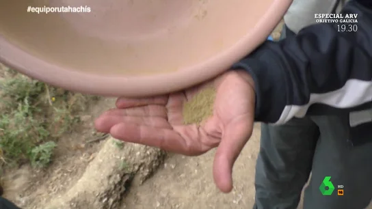 Un cultivador de hachís enseña su plantación a Equipo de Investigación: "Hay hasta de cuarta calidad" Un cultivador de hachís enseña su plantación a Equipo de Investigación: "Hay hasta de cuarta calidad"