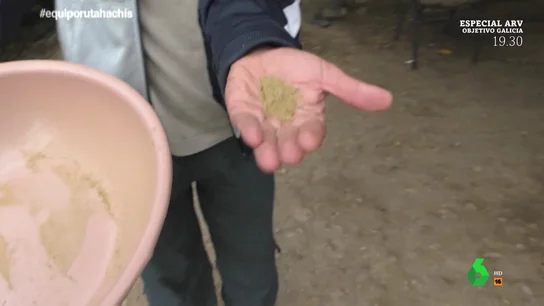 Un cultivador de hachís enseña su plantación a Equipo de Investigación: "Hay hasta de cuarta calidad" Un cultivador de hachís enseña su plantación a Equipo de Investigación: "Hay hasta de cuarta calidad"