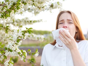 Alergia primaveral