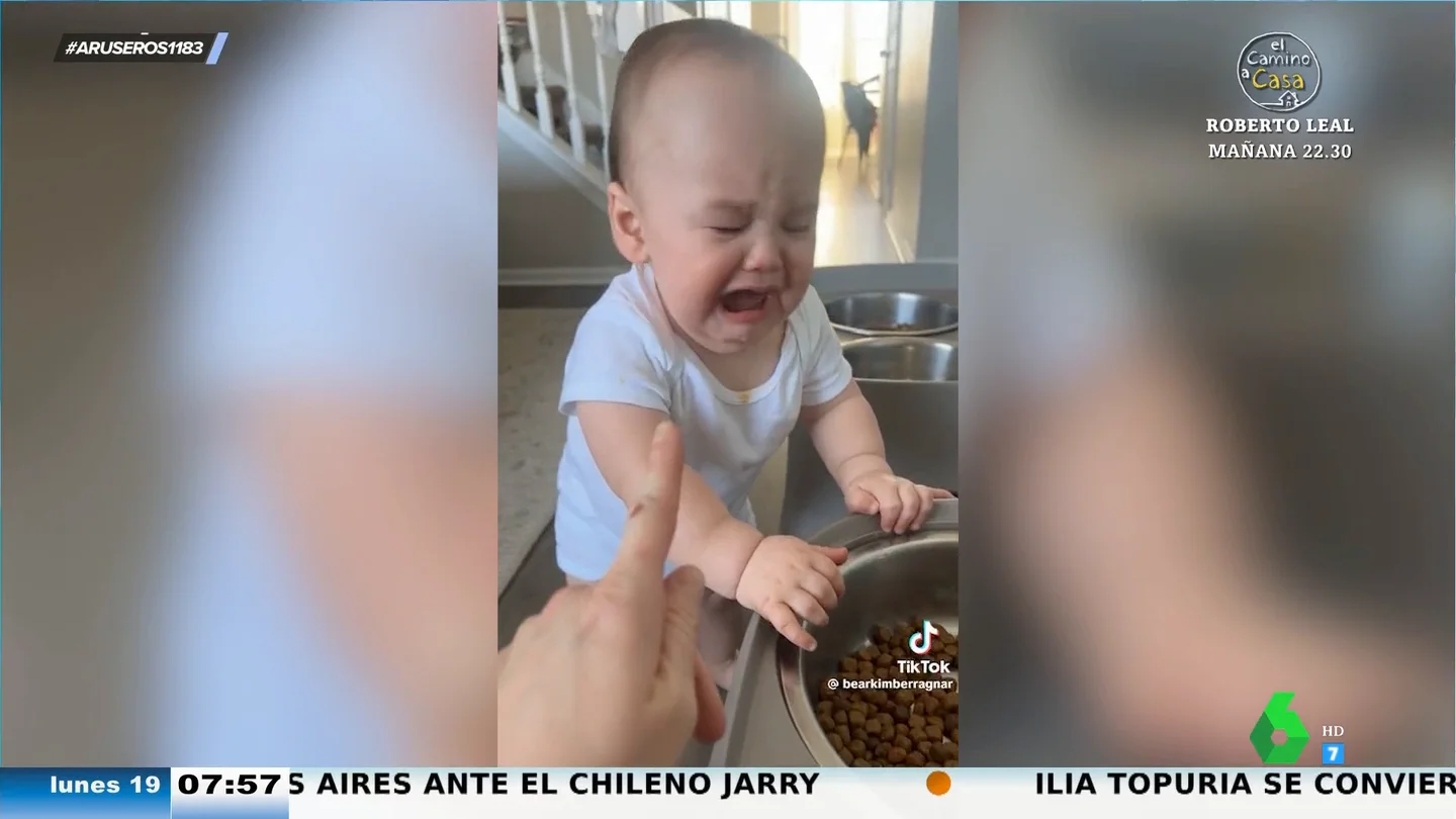 El tremendo sofocón de un bebé porque su madre no le permite probar la comida para perros El tremendo sofocón de un bebé porque su madre no le permite probar la comida para perros