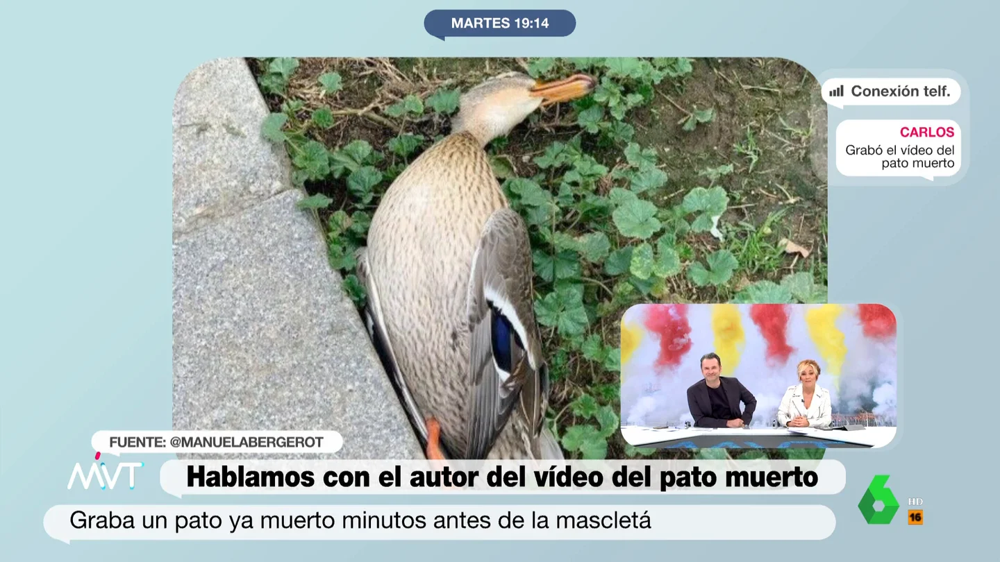 La 'loca teoría' de Iñaki López sobre el pato muerto en la mascletá de Madrid "Podría haber sido una reyerta entre patos y ocas", comenta Iñaki López, que en este vídeo conversa junto a Cristina Pardo con Carlos, el hombre que grabó al polémico pato muerto en Madrid Río minutos antes de comenzar la mascletá.