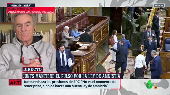 Pérez-Royo, sobre la postura de Junts respecto a la amnistía: "Se han pegado un tiro en el pie de manera innecesaria" Pérez-Royo, sobre la postura de Junts respecto a la amnistía: "Se han pegado un tiro en el pie de manera innecesaria"