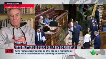 Pérez-Royo, sobre la postura de Junts respecto a la amnistía: "Se han pegado un tiro en el pie de manera innecesaria"