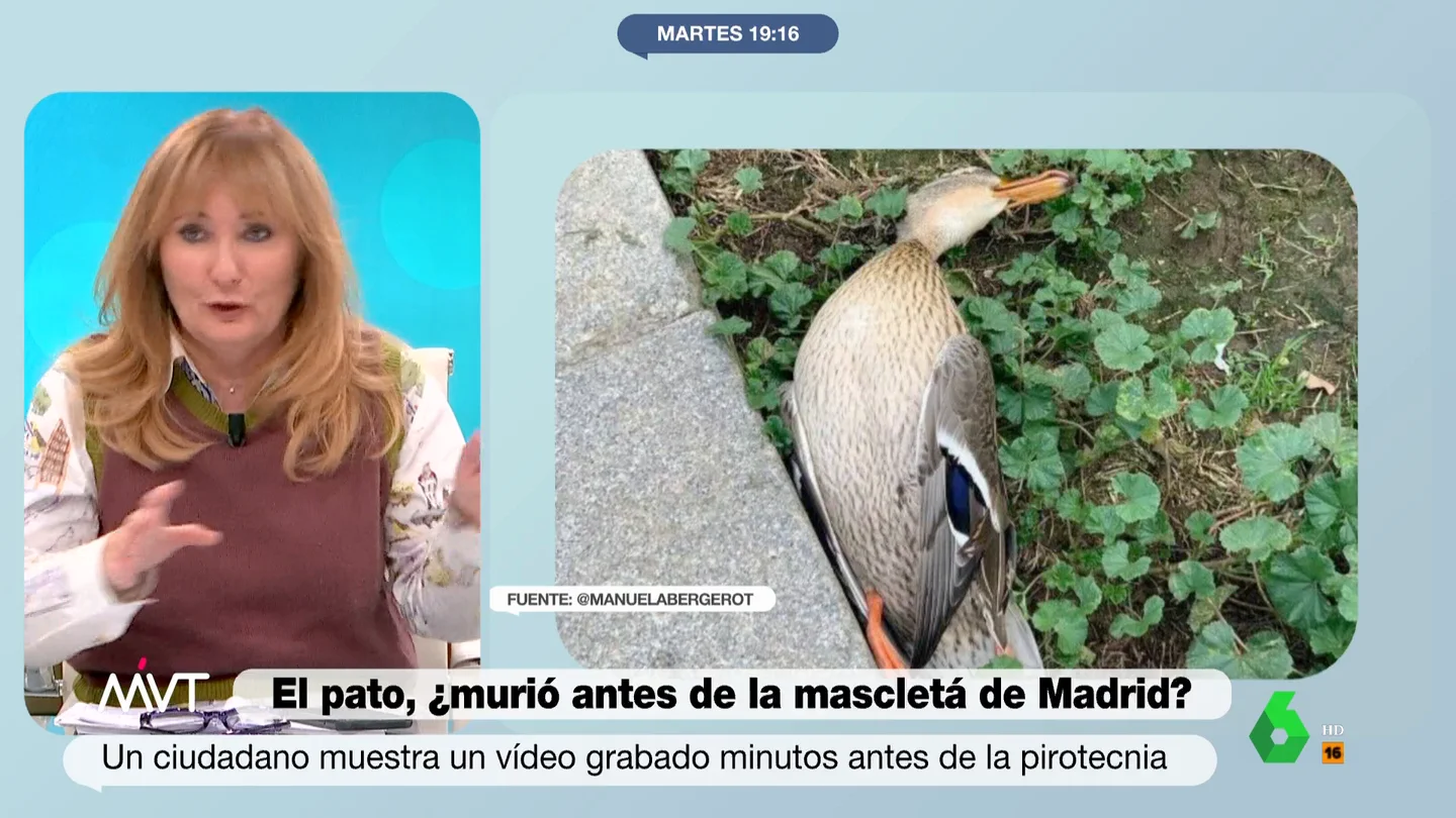 Mayte Alcaraz ironiza sobre la polémica mascletá en Madrid "Lo que me interesa es que la gente se preocupe porque los animales mueran dignamente y no pase lo de las macrogranjas", apunta Benjamín Prado, que sobre la polémica del pato muerto en la mascletá asegura que "me parece una broma".