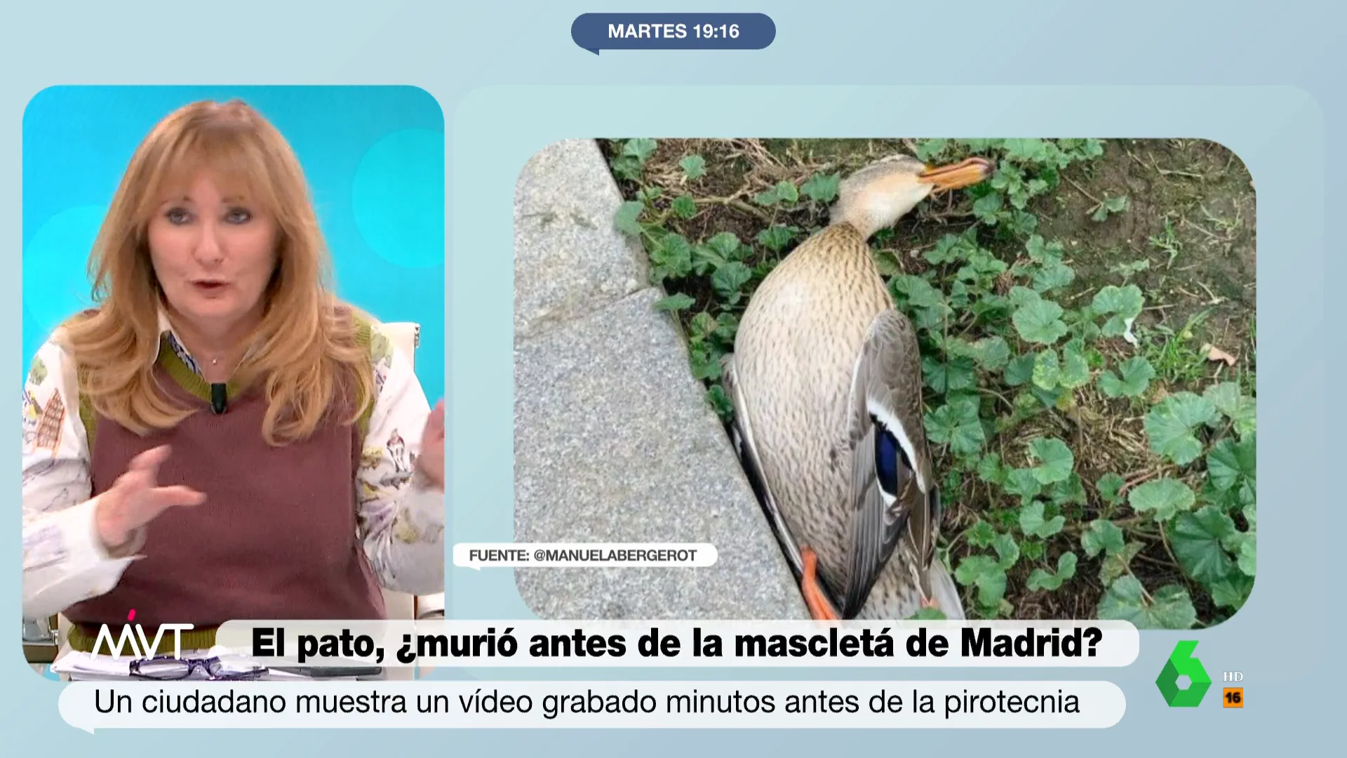 "Lo que me interesa es que la gente se preocupe porque los animales mueran dignamente y no pase lo de las macrogranjas", apunta Benjamín Prado, que sobre la polémica del pato muerto en la mascletá asegura que "me parece una broma".