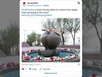 La ciudad de Kazajistán cuyo nombre significa "padre de las manzanas" y que es el origen de este fruto La ciudad de Kazajistán cuyo nombre significa "padre de las manzanas" y que es el origen de este fruto