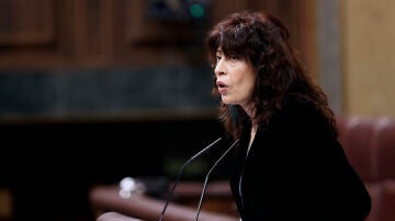 La ministra de Igualdad, Ana redondo, interviene en el pleno que el Congreso