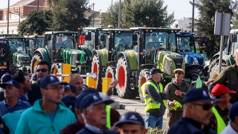 Tractores cortan el paso durante la decimoséptima jornada de protestas de los tractores en las carreteras españolas, a 22 de febrero de 2024, en València, Comunidad Valenciana (España). 
