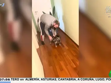 Vídeo viral de un perro que derrapa como un dibujo animado
