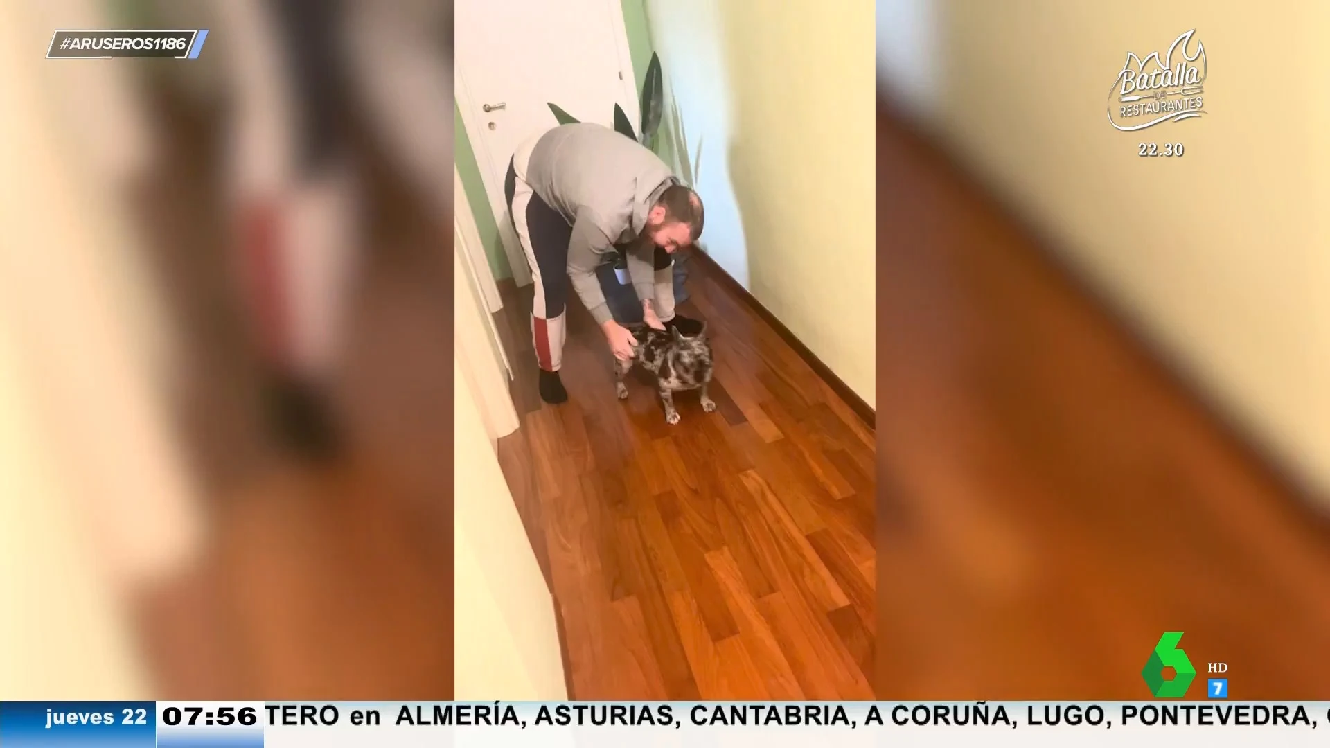 Vídeo viral de un perro que derrapa como un dibujo animado