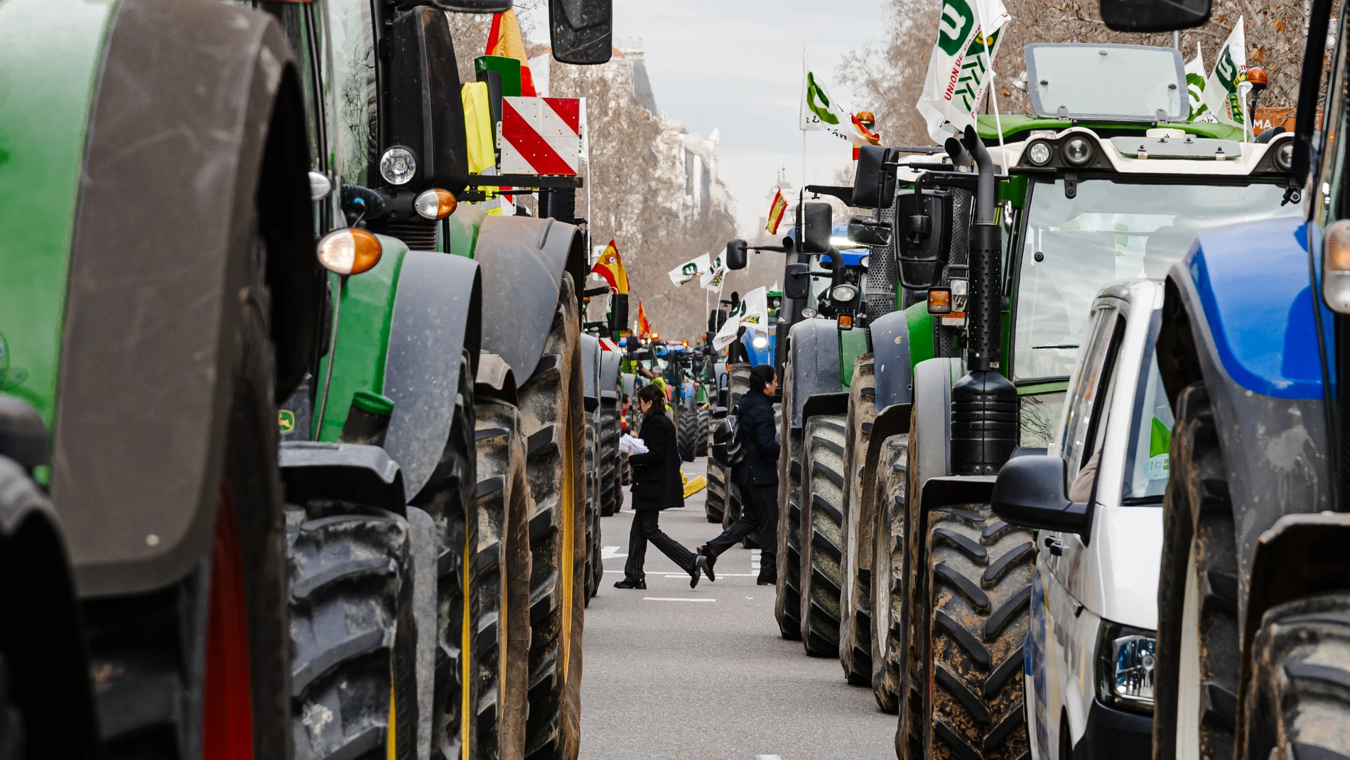 Decena de tractores llegan a la Puerta de Alcalá durante la décimosexta jornada de protestas de los tractores en las carreteras españolas, a 21 de febrero de 2024, en Madrid (España). 