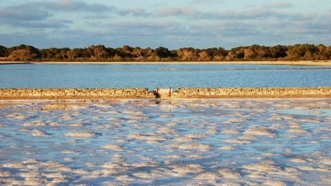 Salinas de Formentera