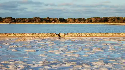 Salinas de Formentera Salinas de Formentera