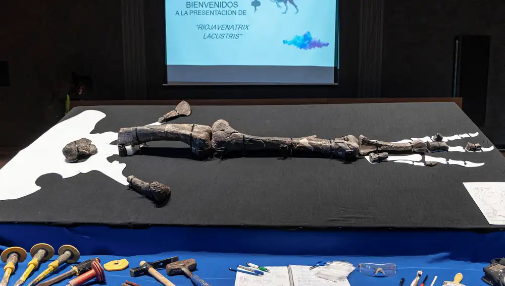 La cazadora del lago, un dinosaurio hallado en La Rioja, único en el mundo