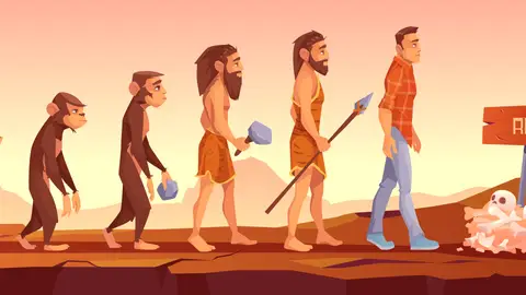 Evolución Hombre