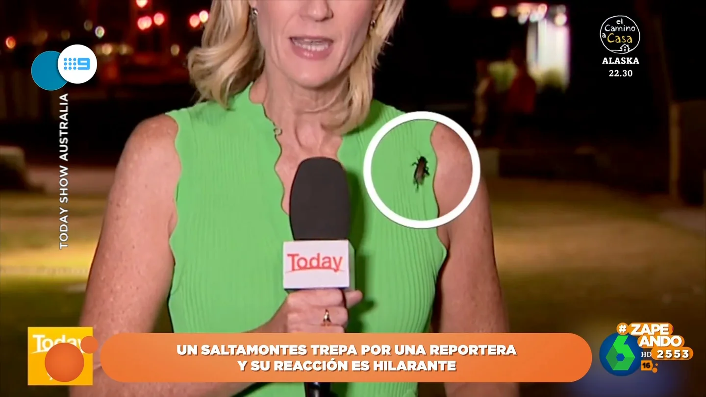 La divertida reacción de una reportera cuando un bicho le trepa por la ropa La divertida reacción de una reportera cuando un bicho le trepa por la ropa