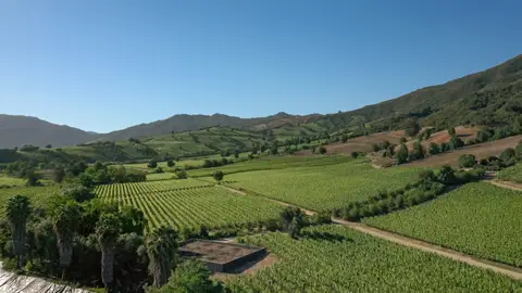 Valle Colchagua Valle Colchagua