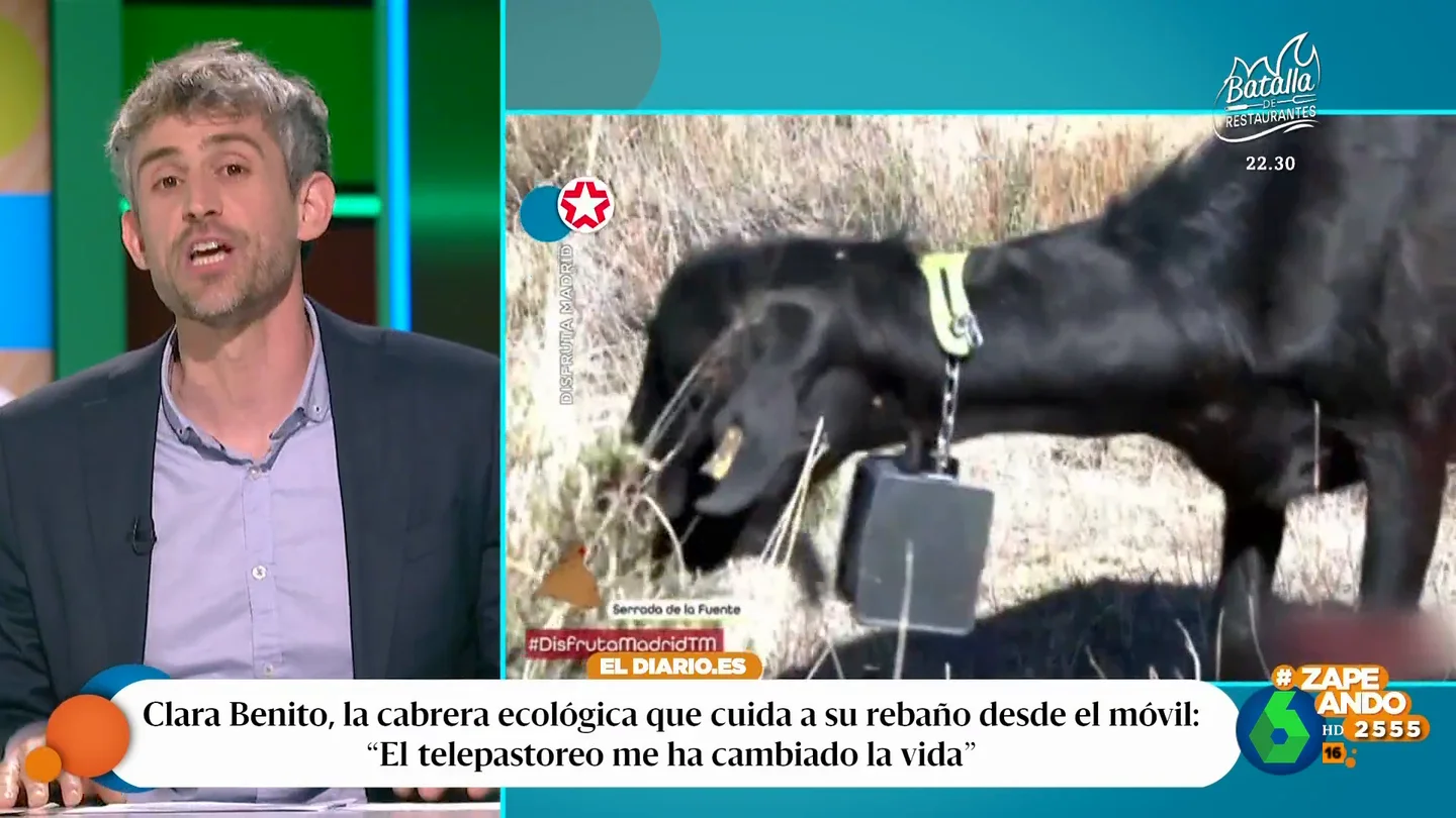 ¿Qué es el telepastoreo? Víctor Algra explica que puede hacer más atractivo el oficio de pastor para los jóvenes ¿Qué es el telepastoreo? Víctor Algra explica que puede hacer más atractivo el oficio de pastor para los jóvenes