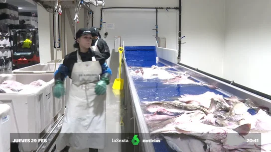 Las personas detrás del skrei: desde quienes lo pescan hasta los españoles que van a trabajar a Noruega Las personas detrás del skrei: desde quienes lo pescan hasta los españoles que van a trabajar a Noruega