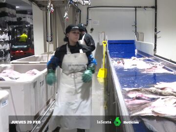 Las personas detrás del skrei: desde quienes lo pescan hasta los españoles que van a trabajar a Noruega 