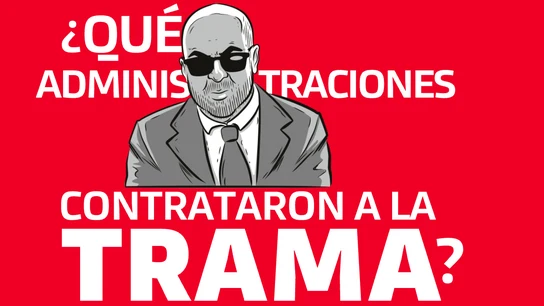 Análisis de las administraciones que contrataron a la empresa implicada en la 'trama Koldo' Análisis de las administraciones que contrataron a la empresa implicada en la 'trama Koldo'