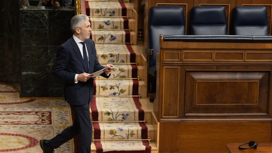 El ministro del Interior, Fernando Grande-Marlaska, en el Congreso de los Diputados El ministro del Interior, Fernando Grande-Marlaska, en el Congreso de los Diputados