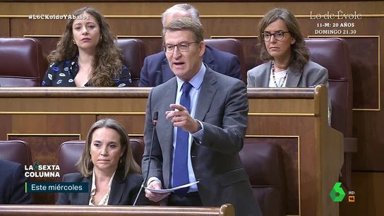 PP sexta Columna PP sexta Columna