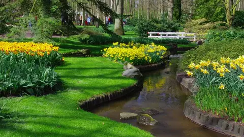 Keukenhof Keukenhof