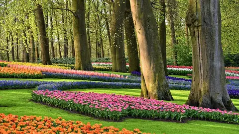 Keukenhof Keukenhof