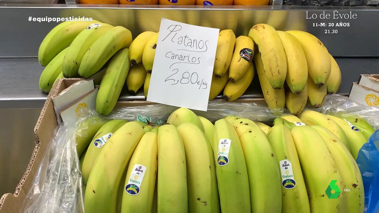 EQUIPO_plátano canario vs banana importada EQUIPO_plátano canario vs banana importada