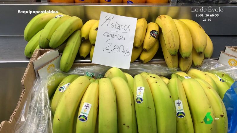 EQUIPO_plátano canario vs banana importada
