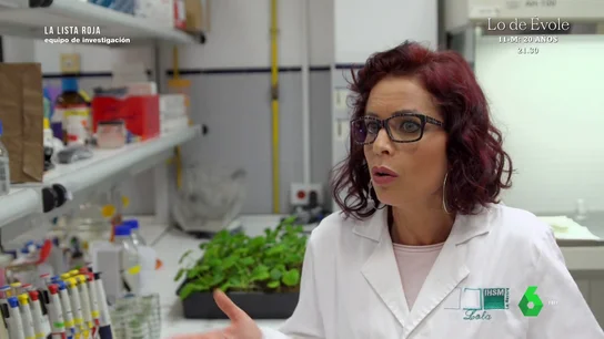 EQUIPO EXPERTA - "Sin fitosanitarios, las pérdidas serían del 80%. ¿Cómo vamos a abastecer a la población mundial?" EQUIPO EXPERTA - "Sin fitosanitarios, las pérdidas serían del 80%. ¿Cómo vamos a abastecer a la población mundial?"