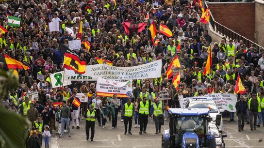 Unas 800 personas en una marcha lenta con unos cuarenta tractores por las calles de Córdoba Unas 800 personas en una marcha lenta con unos cuarenta tractores por las calles de Córdoba