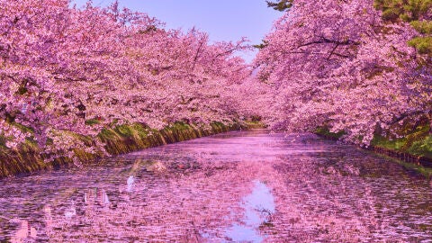 Parque de Hirosaki