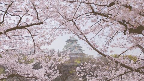 Castillo de Hirosaki