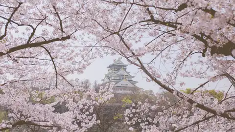 Castillo de Hirosaki Castillo de Hirosaki
