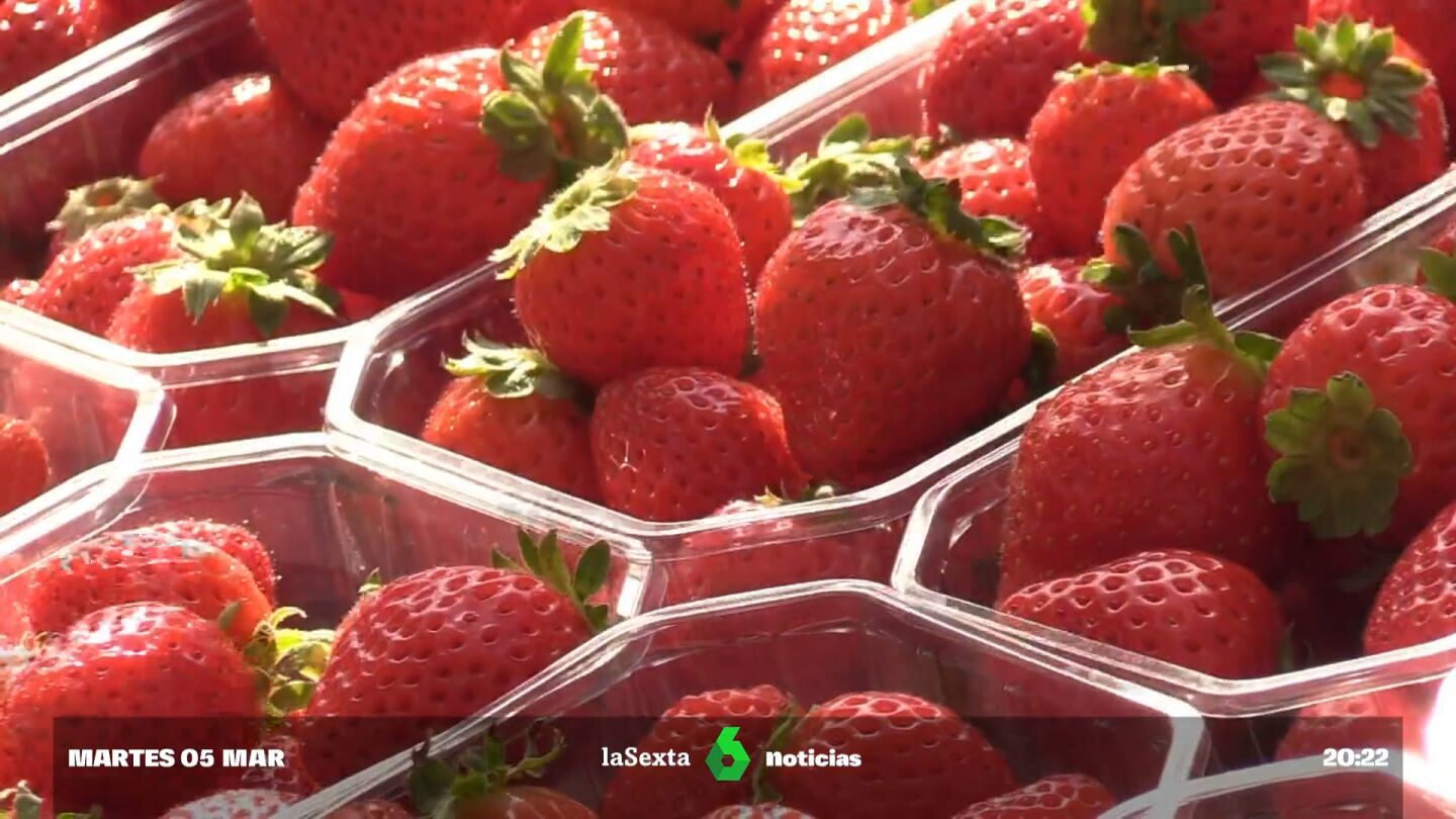 hepatitis fresas