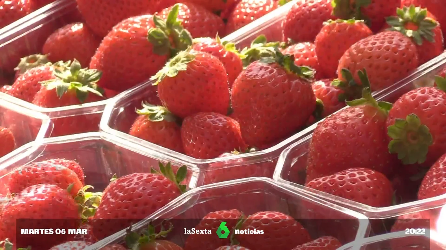 hepatitis fresas hepatitis fresas