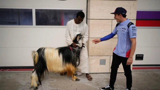 Marc Márquez. junto a una cabra Marc Márquez. junto a una cabra