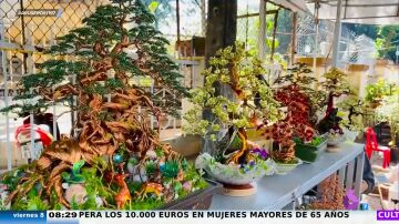 La hipnótica técnica de una jardinera para crear bonsáis de cobre: "Esto es una obra de arte"