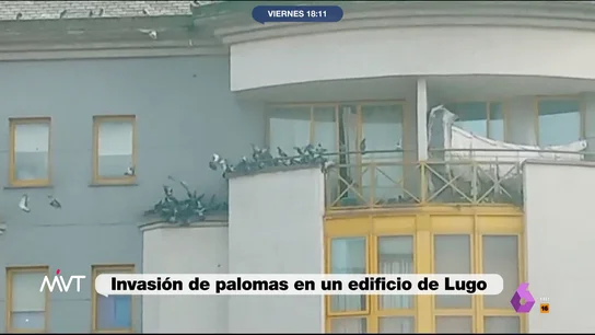 palomas lugo palomas lugo