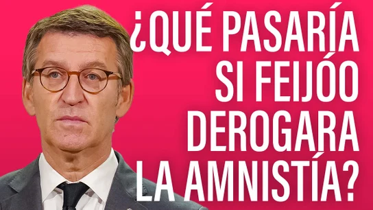 Feijóo amnistía Feijóo amnistía