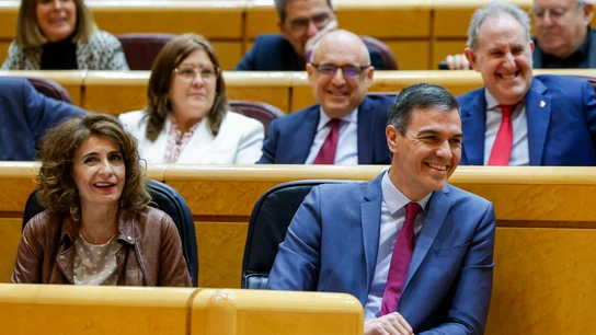 El presidente del Gobierno, Pedro Sánchez, durante la sesión del Congreso El presidente del Gobierno, Pedro Sánchez, durante la sesión del Congreso