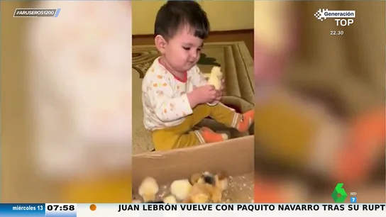 La inesperada reacción de este bebé cuando juega con unos pollitos: del piquito al mordisquito La inesperada reacción de este bebé cuando juega con unos pollitos: del piquito al mordisquito