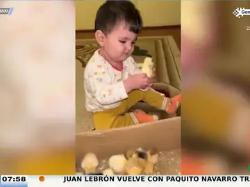 La inesperada reacción de este bebé cuando juega con unos pollitos: del piquito al mordisquito