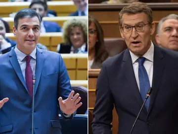 Pedro Sánchez y Alberto Núñez Feijóo, en sesiones parlamentarias de esta semana.