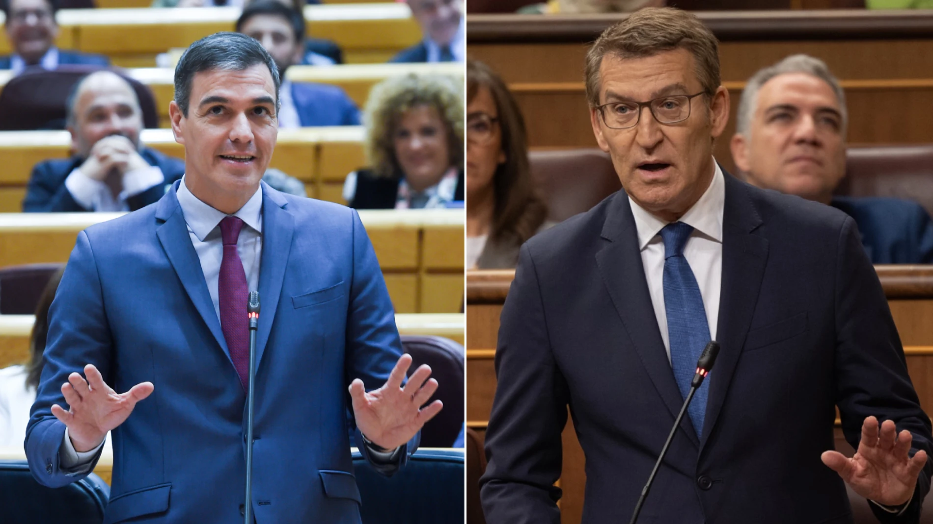 Pedro Sánchez y Alberto Núñez Feijóo, en sesiones parlamentarias de esta semana.