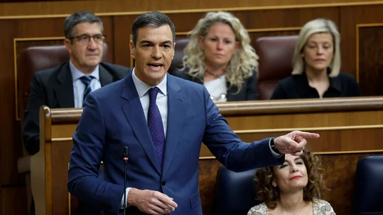 El presidente del Gobierno, Pedro Sánchez, interviene durante la sesión de control al Gobierno El presidente del Gobierno, Pedro Sánchez, interviene durante la sesión de control al Gobierno/ EFE/Chema Moya