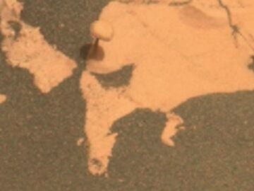 Hongo encontrado en Marte